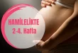 Hamilelik 2-4. Hafta